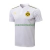 BVB Borussia Dortmund Polo d'Entraînement 22-23 Blanche Pour Homme